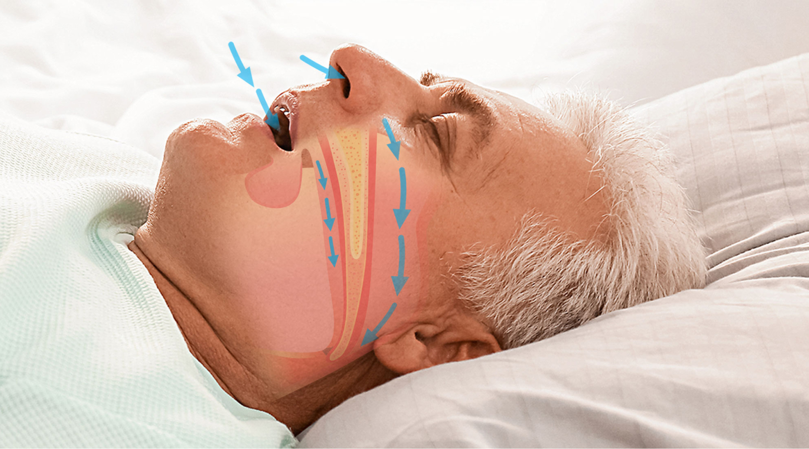 FluffCo Zen Pillow 10