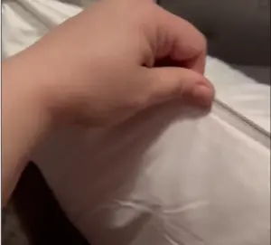 FluffCo Zen Pillow 6